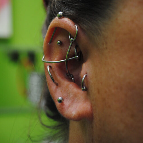 Ear Piecring project by Brandon Bohlman at Cactus Tattoo in Mankato