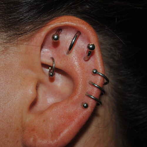 Spiral ear piercing by Brandon Bohlman at Cactus Tattoo in Mankato MN
