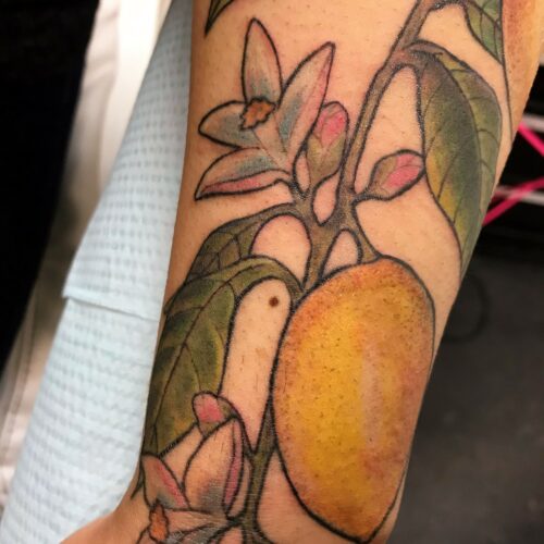 lemon tree tattoo by Makeba Ische at Cactus Tattoo in Mankato