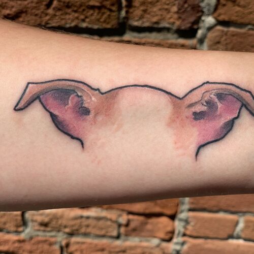 Cute pig ears tattoo by rob foster in mankato