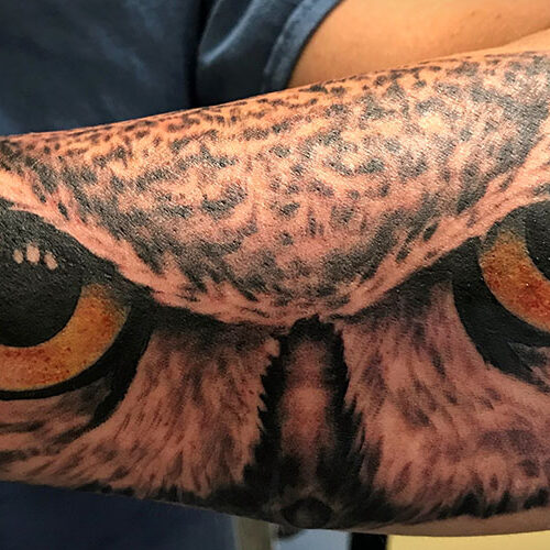 Realistic Owl tattoo on forearm by Makeba Ische in Mankato Minnesota