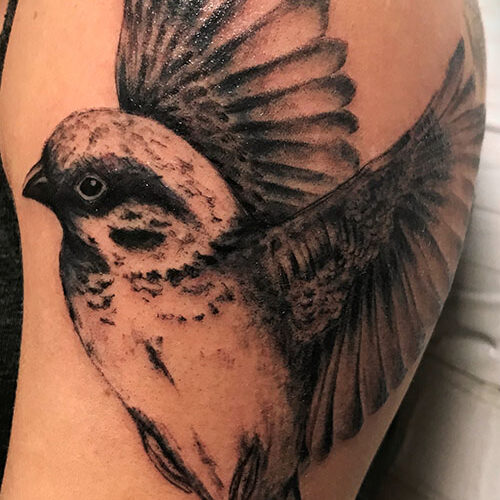 Realisim tattoo artist Makeba Ische - Sparrow in black and gray ink